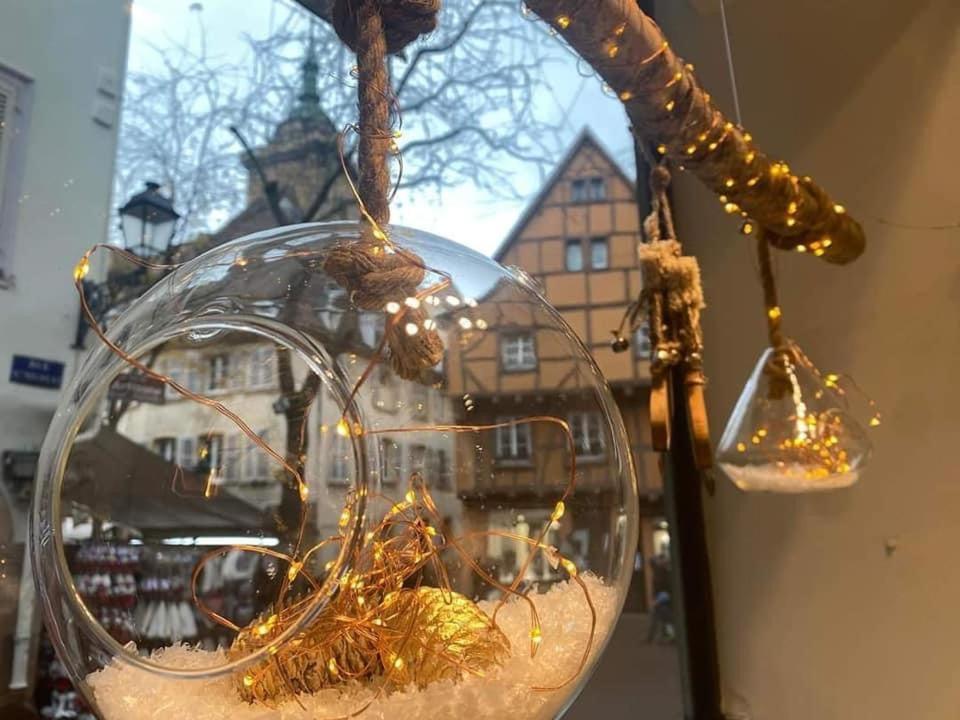 Les Lavandieres Apartment Colmar