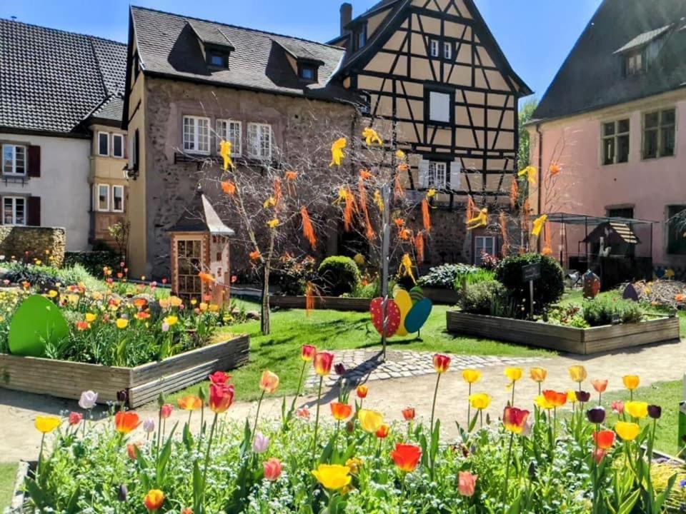 Apartment Les Lavandieres Colmar
