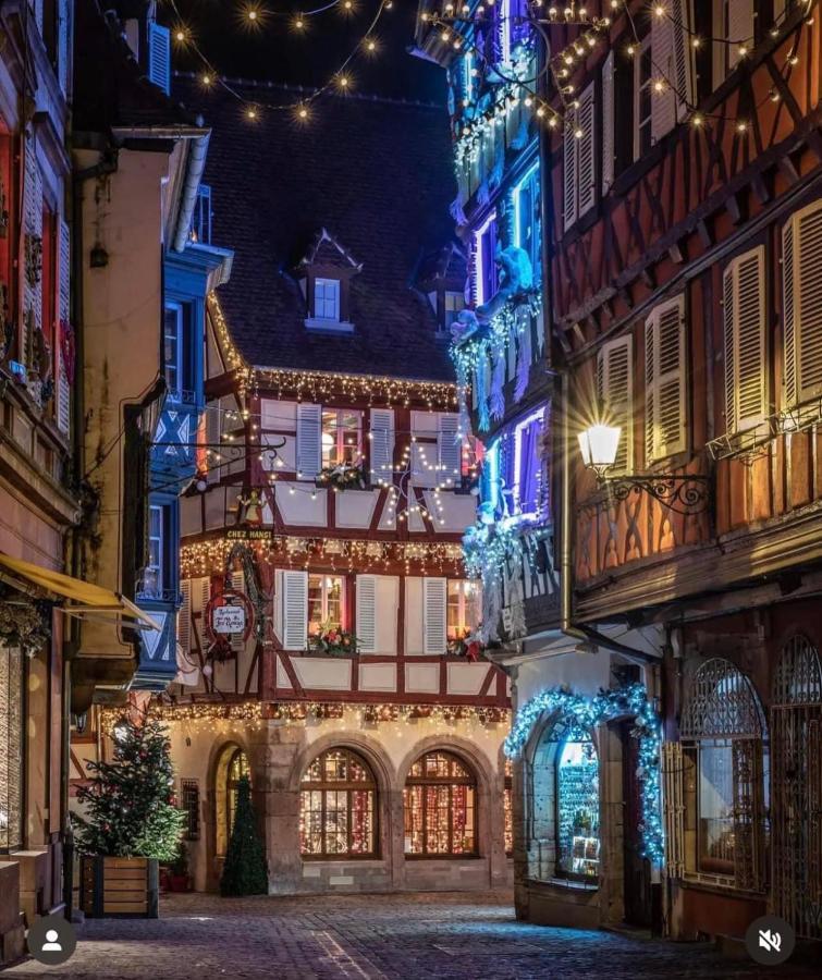 Apartment Les Lavandieres Colmar