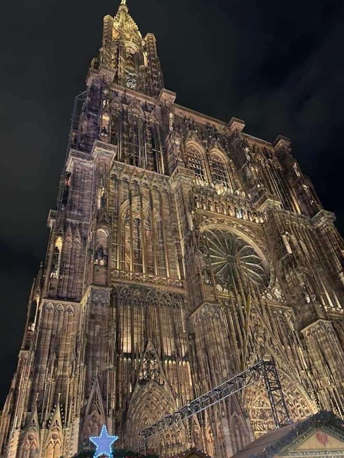 Les Lavandieres Apartment Colmar
